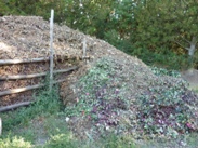 Compost