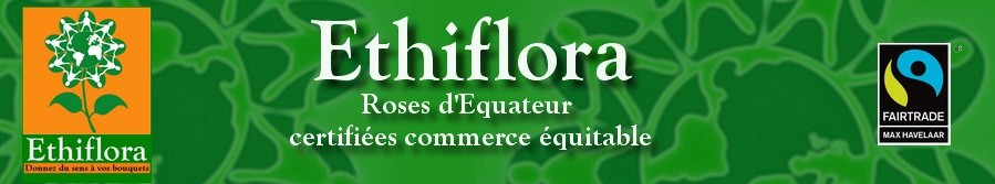 Ethiflora : Roses d'Equateur issues du commerce  quitable