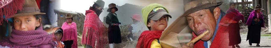 Ethiflora : Roses d'Equateur issues du Commerce Equitable